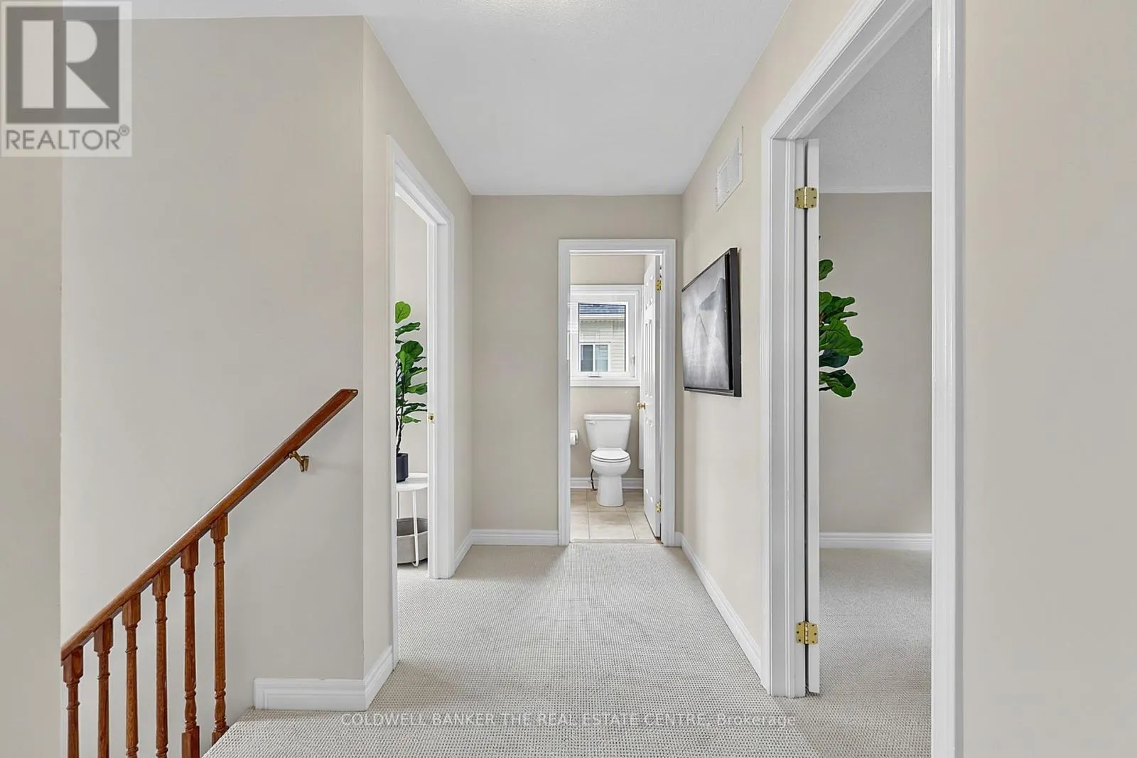 37 RAINBOW COURT