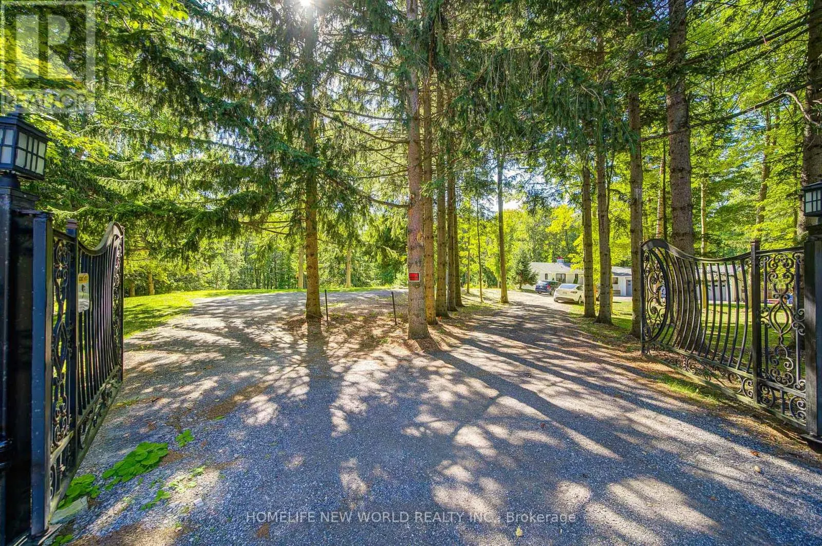 3659 AURORA ROAD