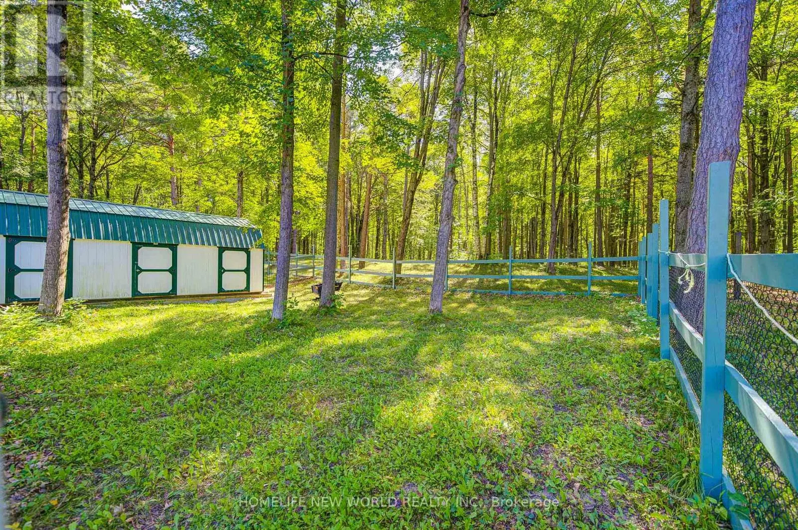 3659 AURORA ROAD