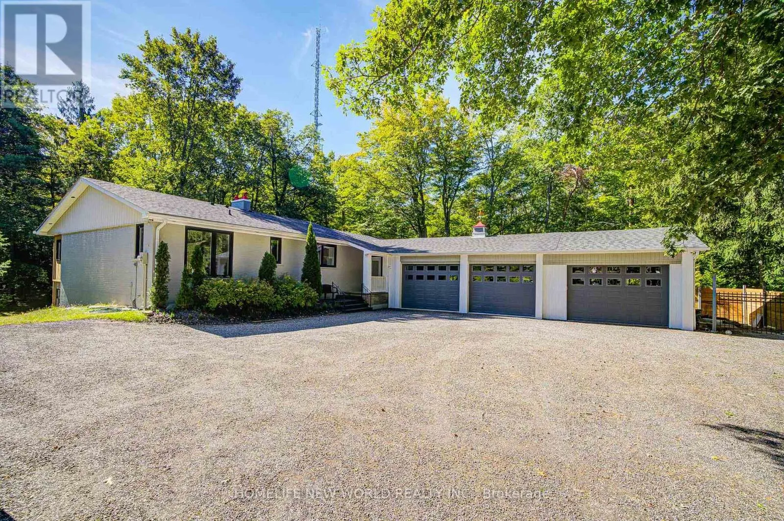 3659 AURORA ROAD