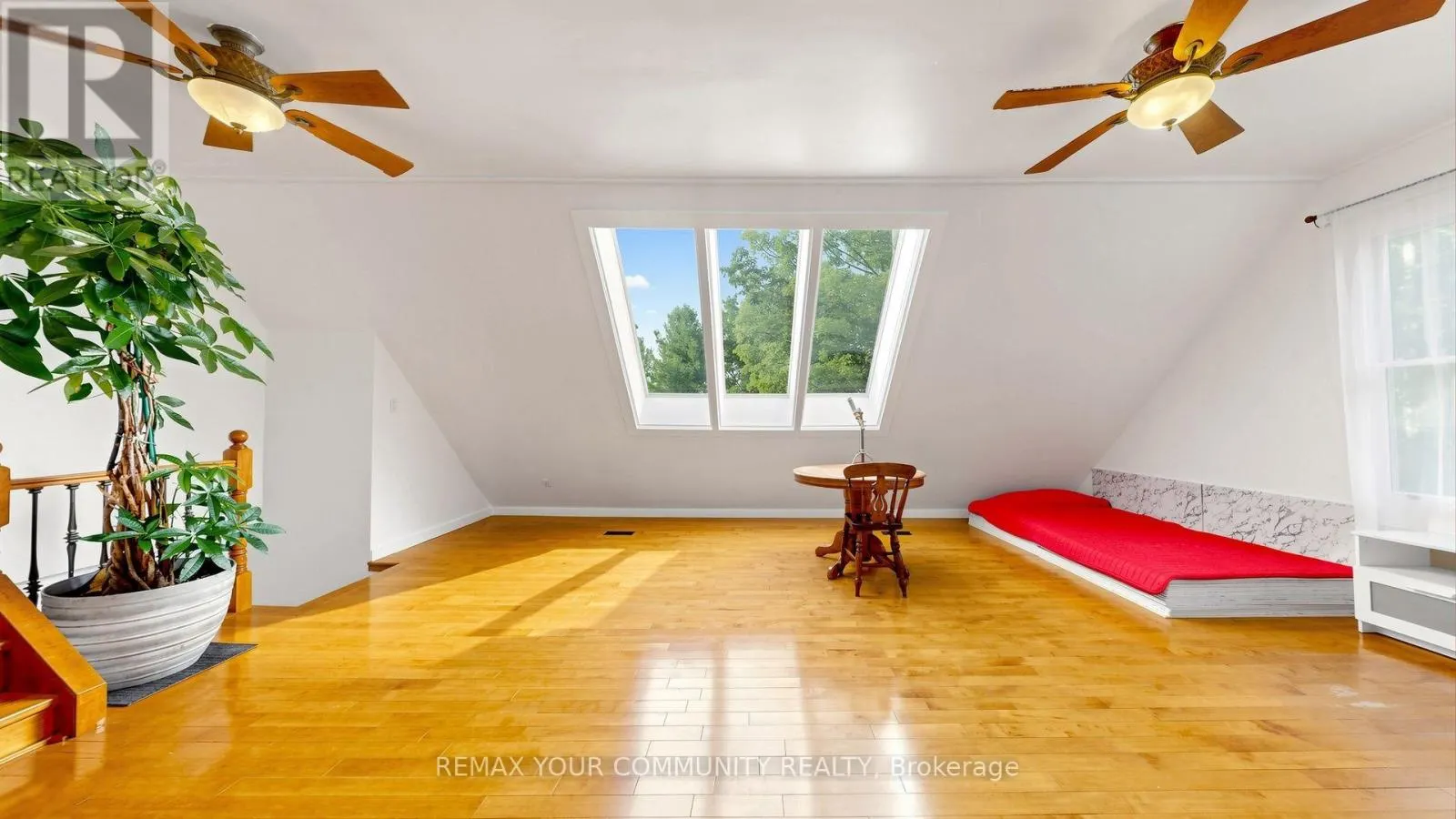 243 RIDGE ROAD