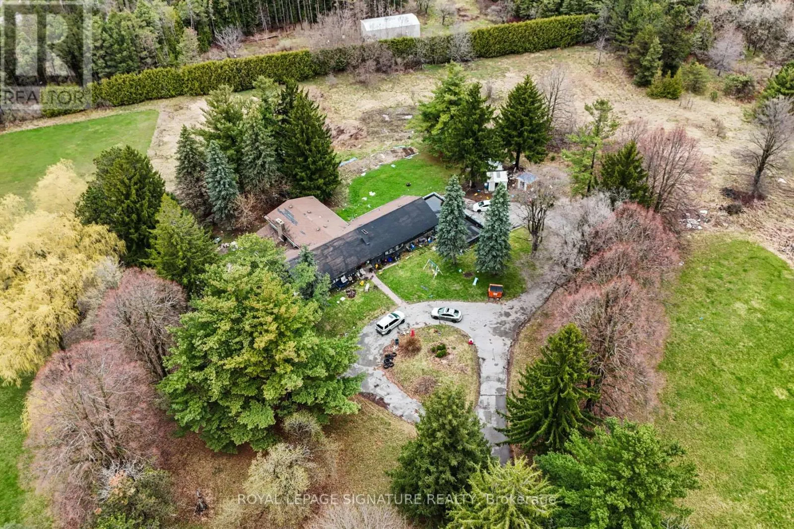 50 COLLARD DRIVE