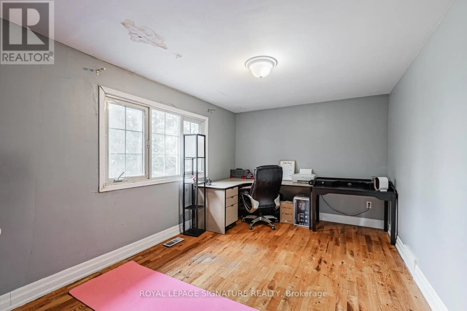 50 COLLARD DRIVE
