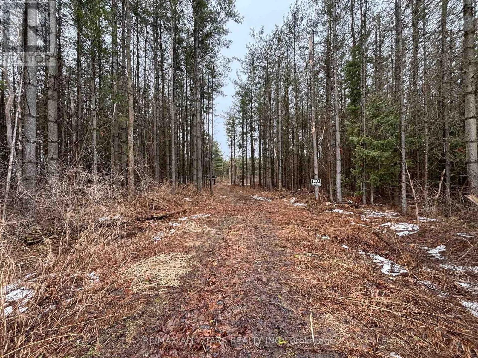B1780 THORAH CONCESSION 3 ROAD