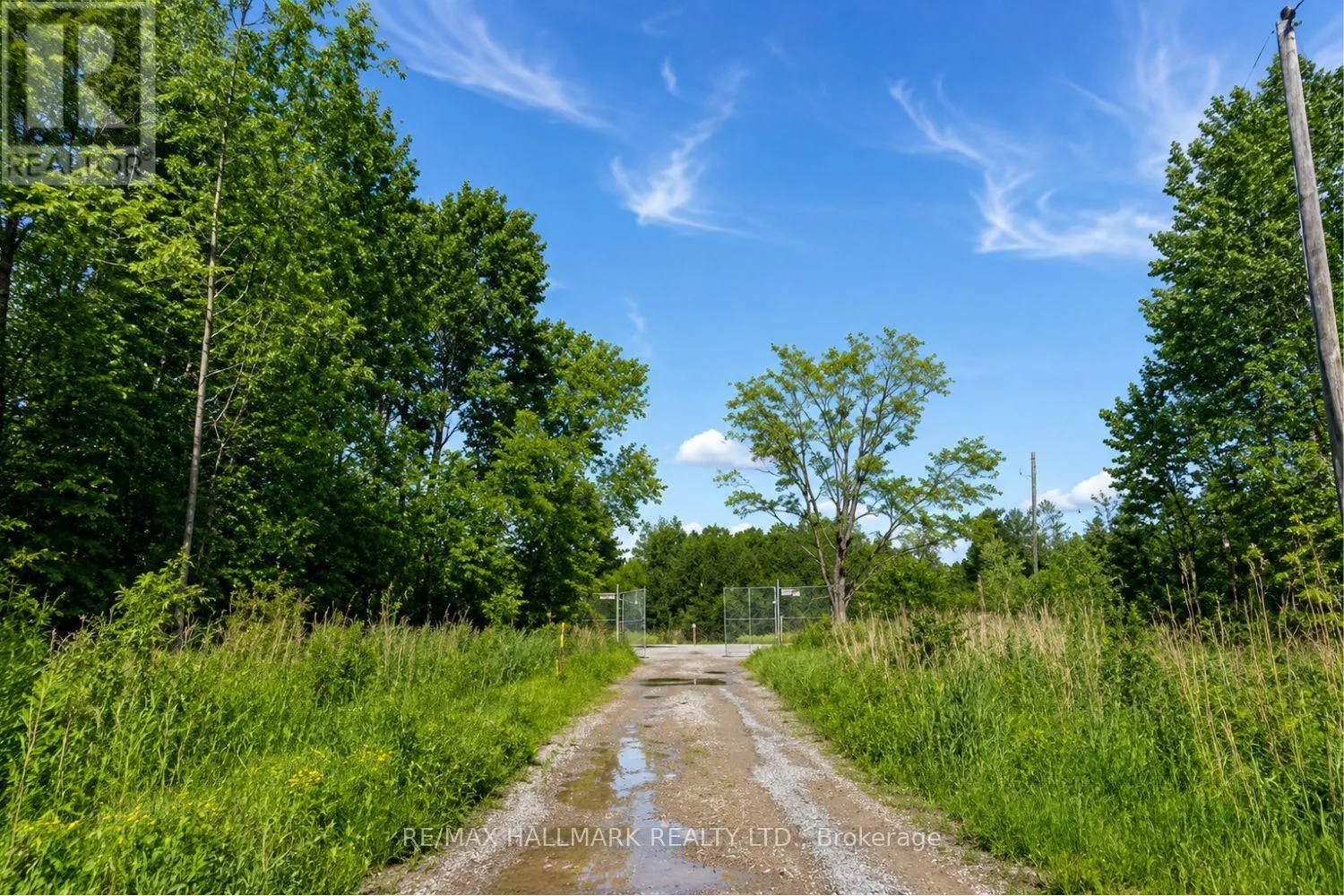 21576 MCCOWAN ROAD