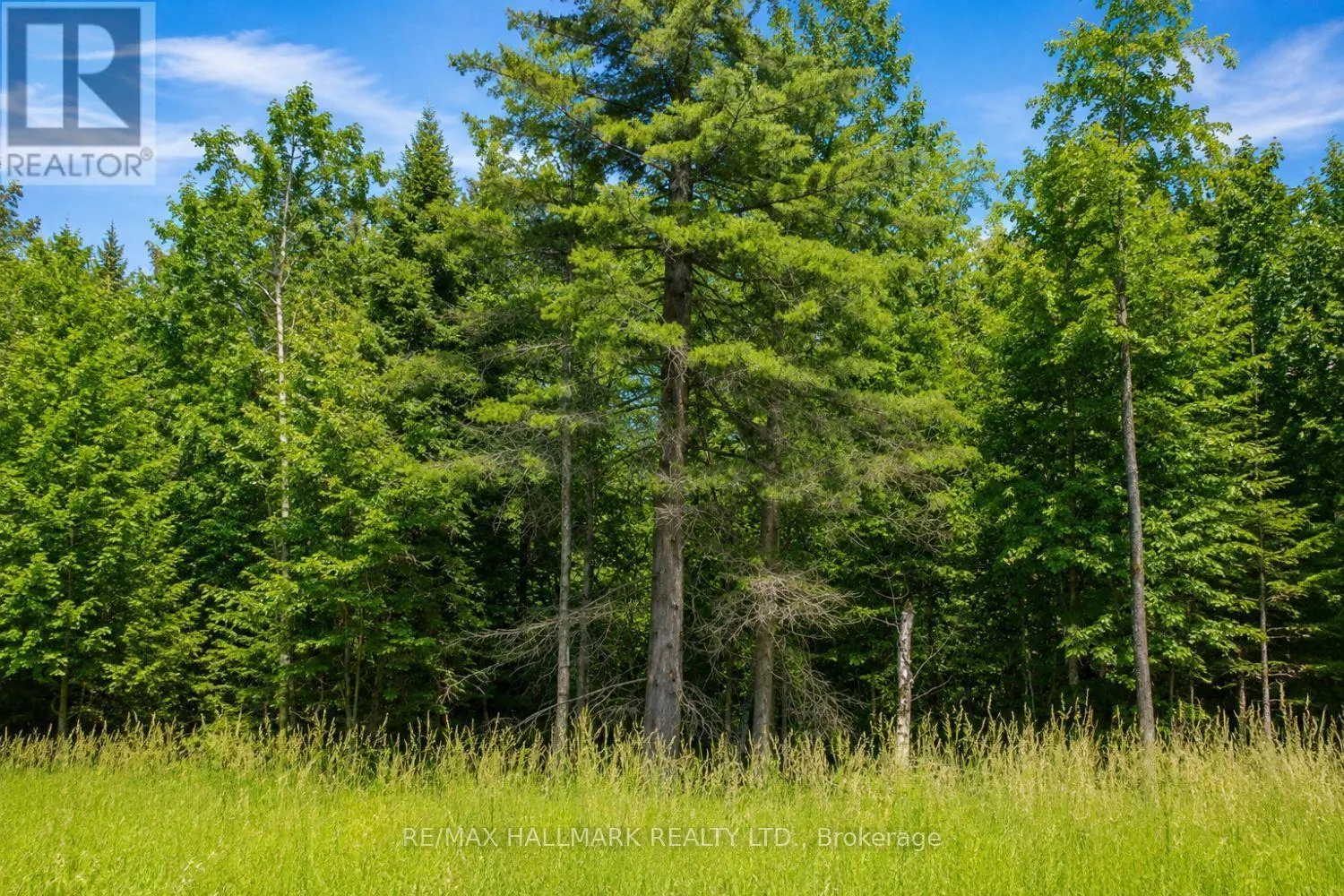 21576 MCCOWAN ROAD