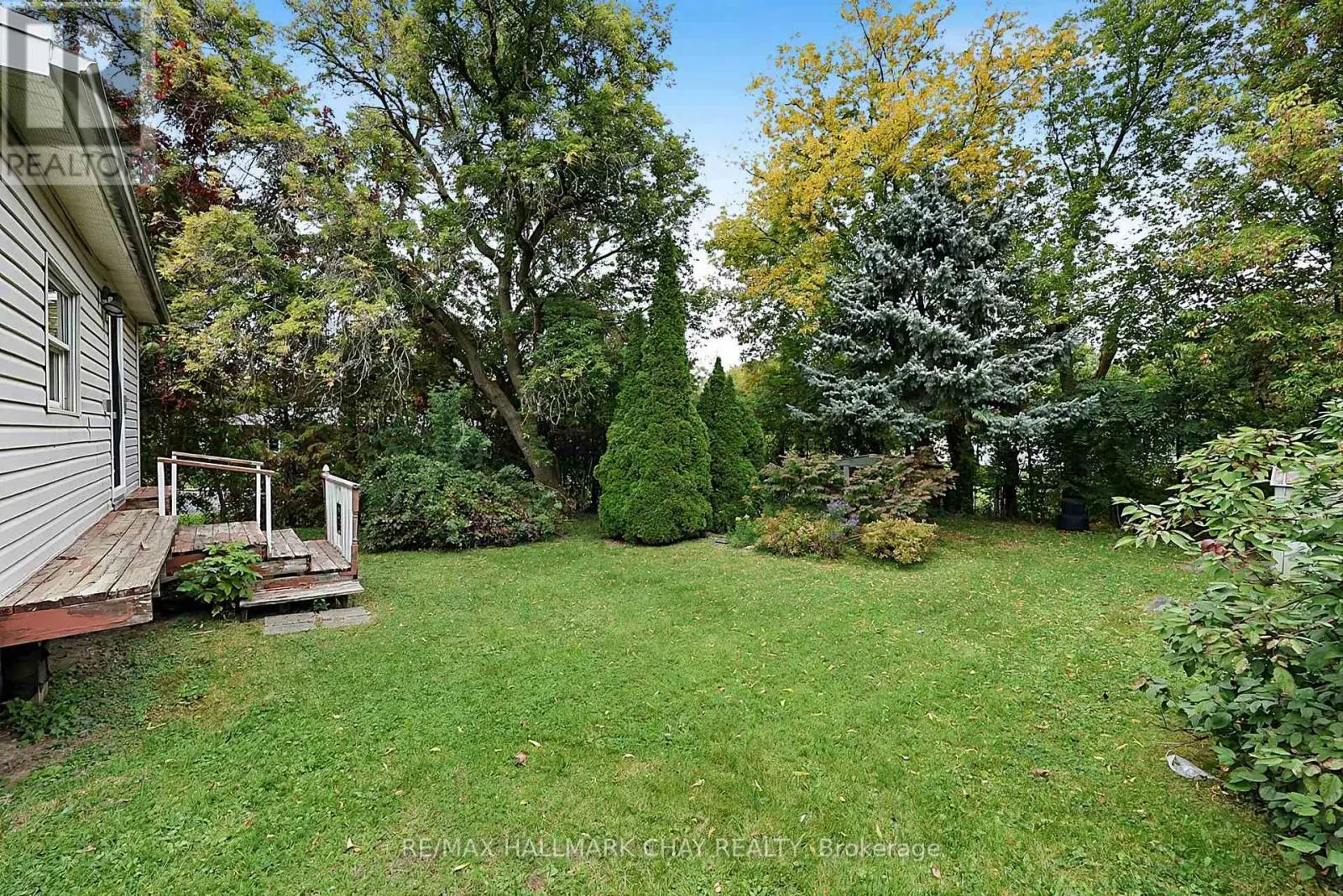 135 PETER STREET