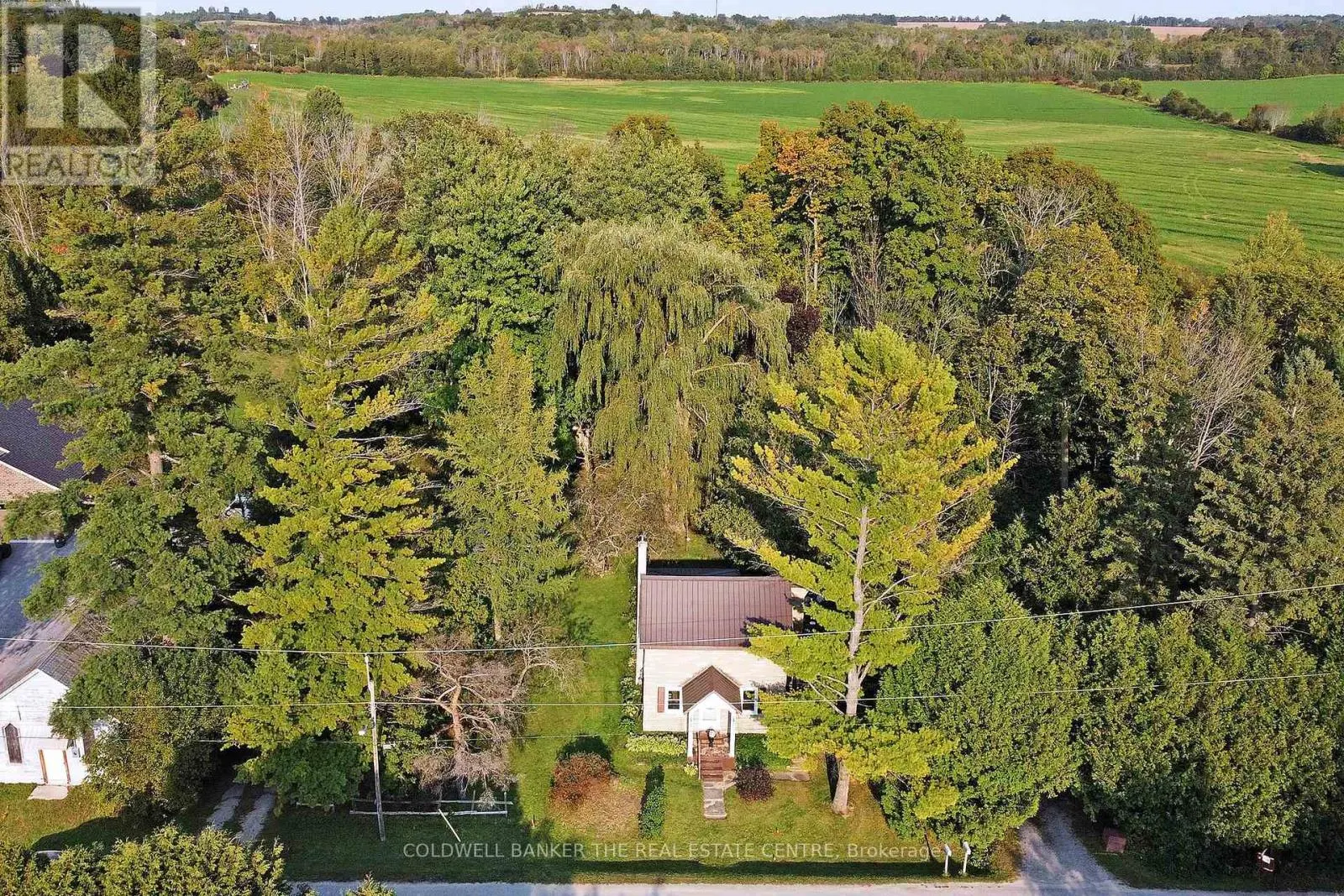20805 BROCK ROAD