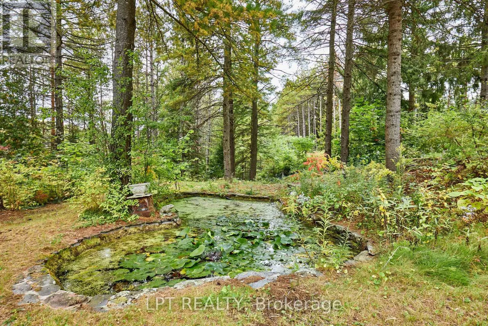 298 WEES ROAD