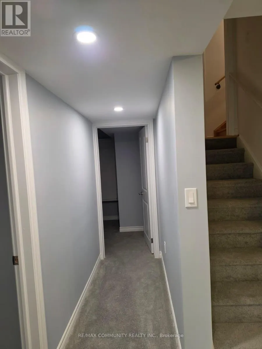 BASEMENT - 63 ENGLISH DRIVE E