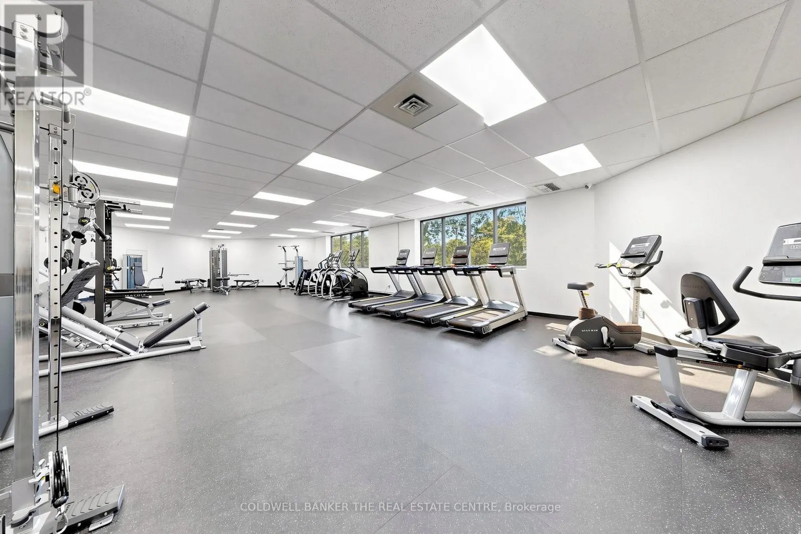 301 - 5 WELDRICK ROAD W