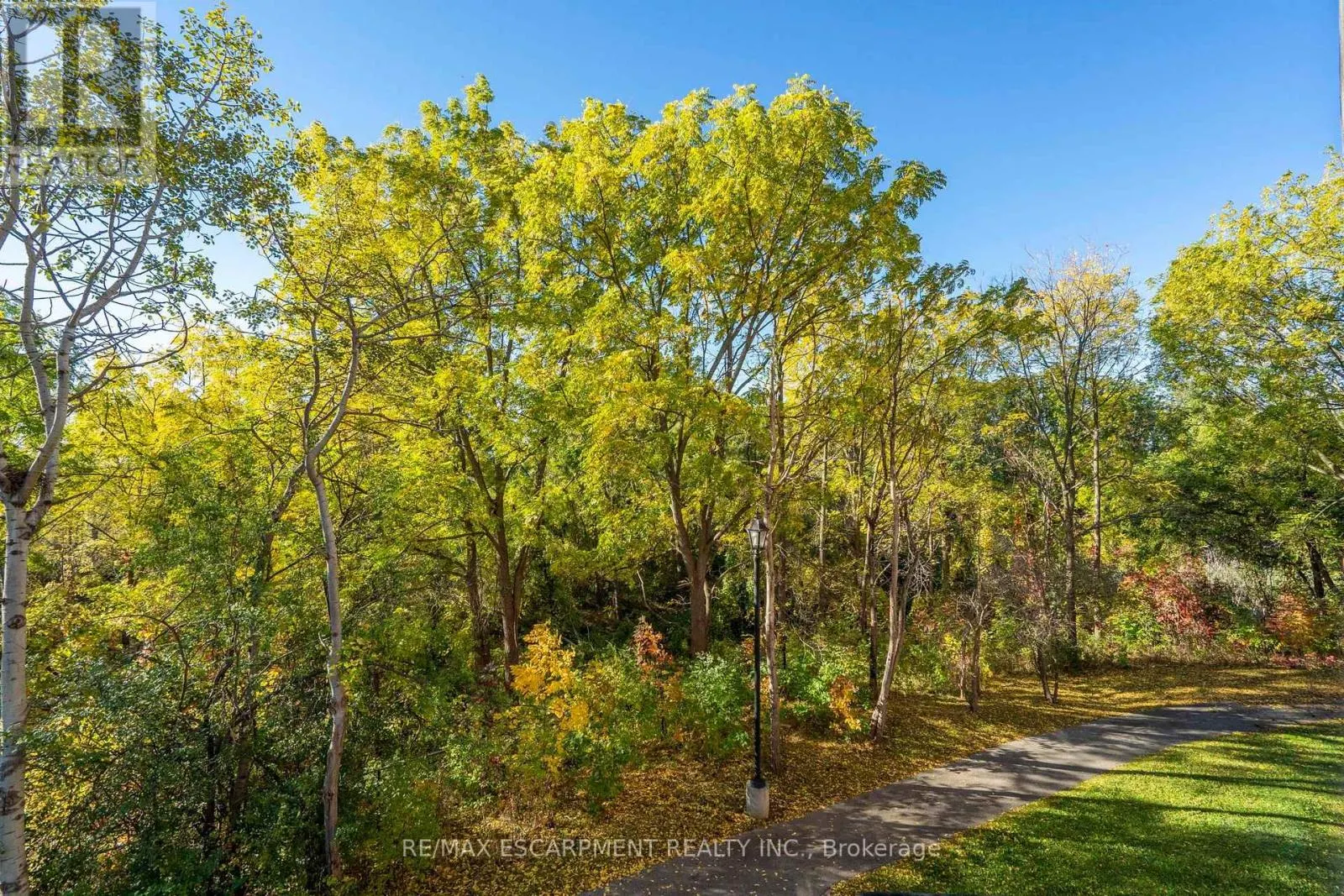 223 - 7373 MARTINGROVE ROAD