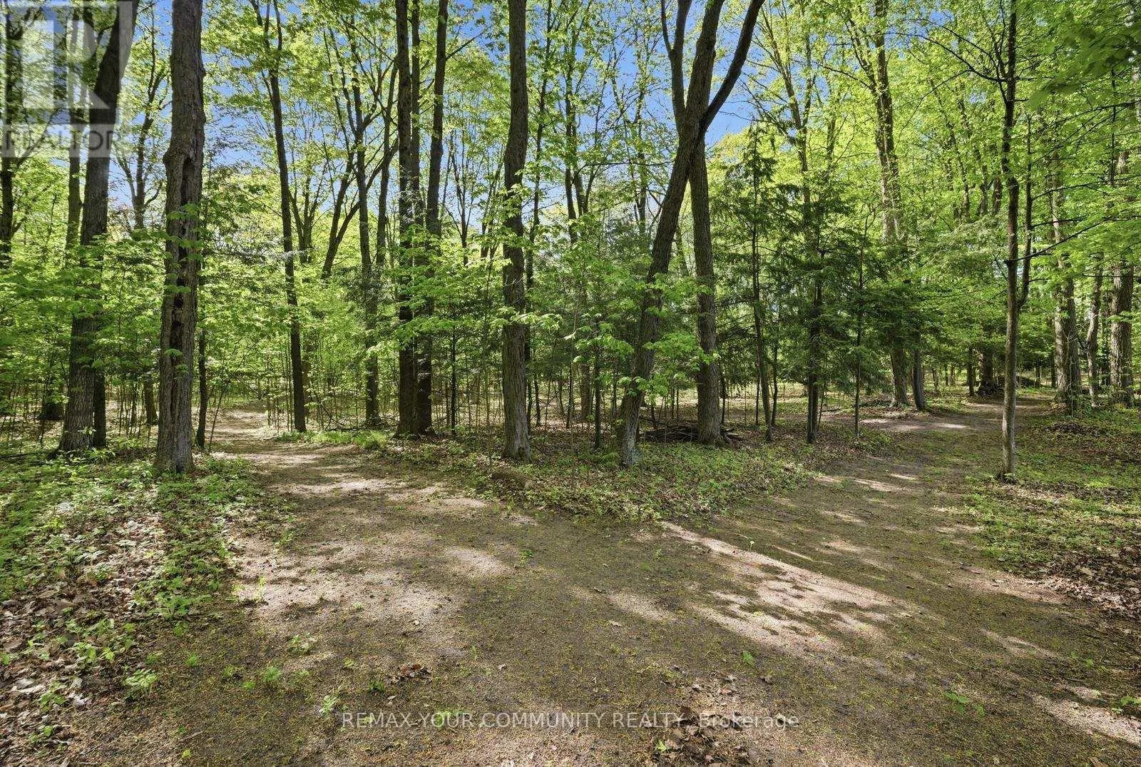16902 MCCOWAN ROAD