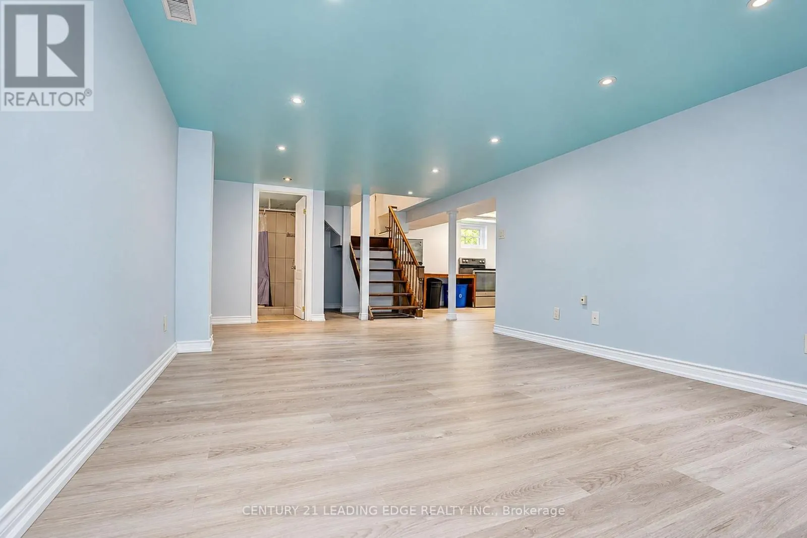 BASEMENT - 1006 ELGIN STREET