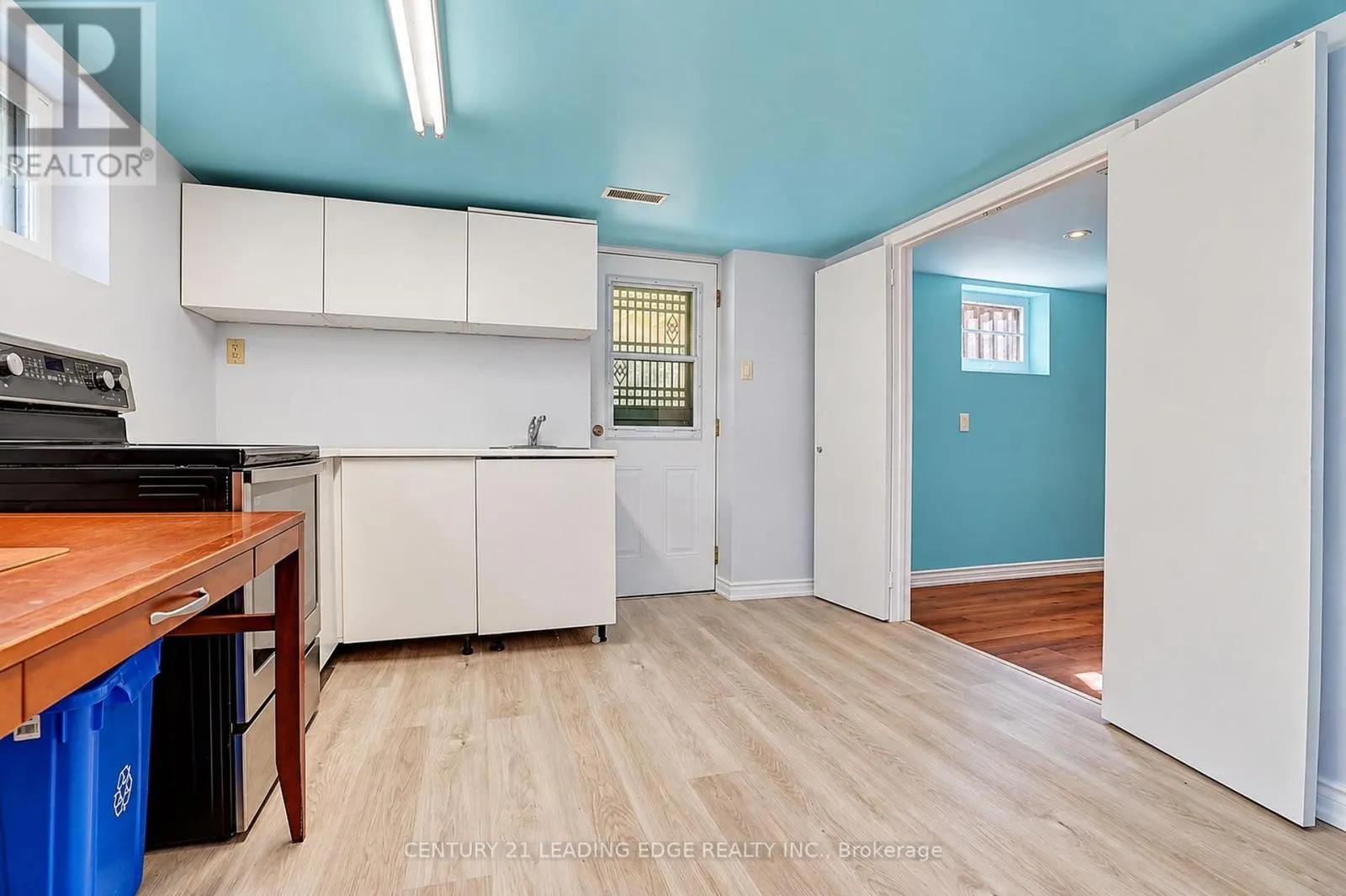BASEMENT - 1006 ELGIN STREET