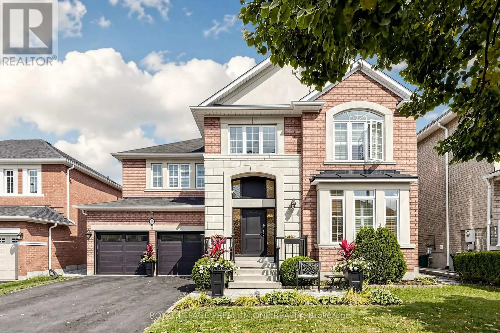 46 BOSCO DRIVE