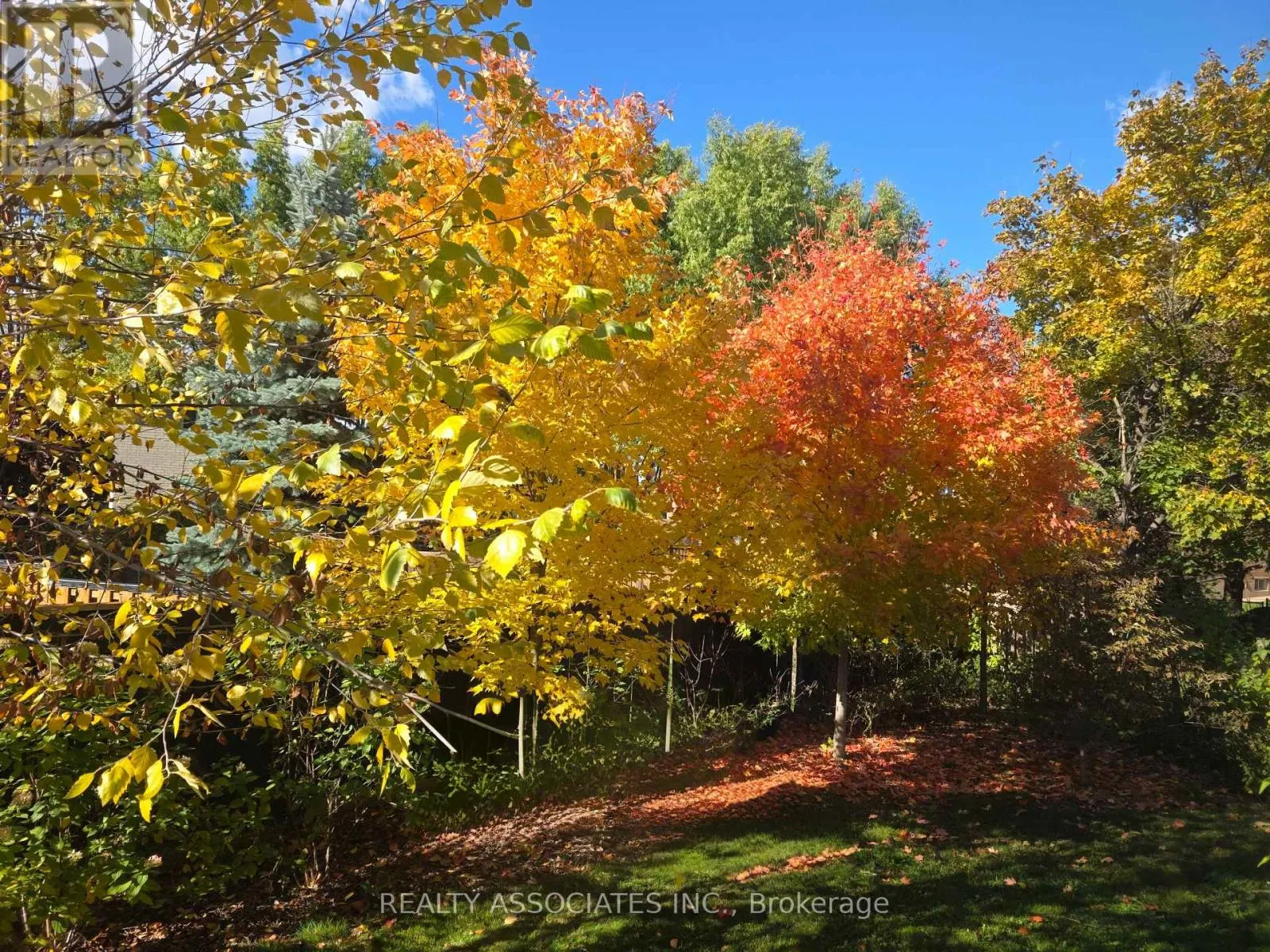 128 COALBROOK COURT