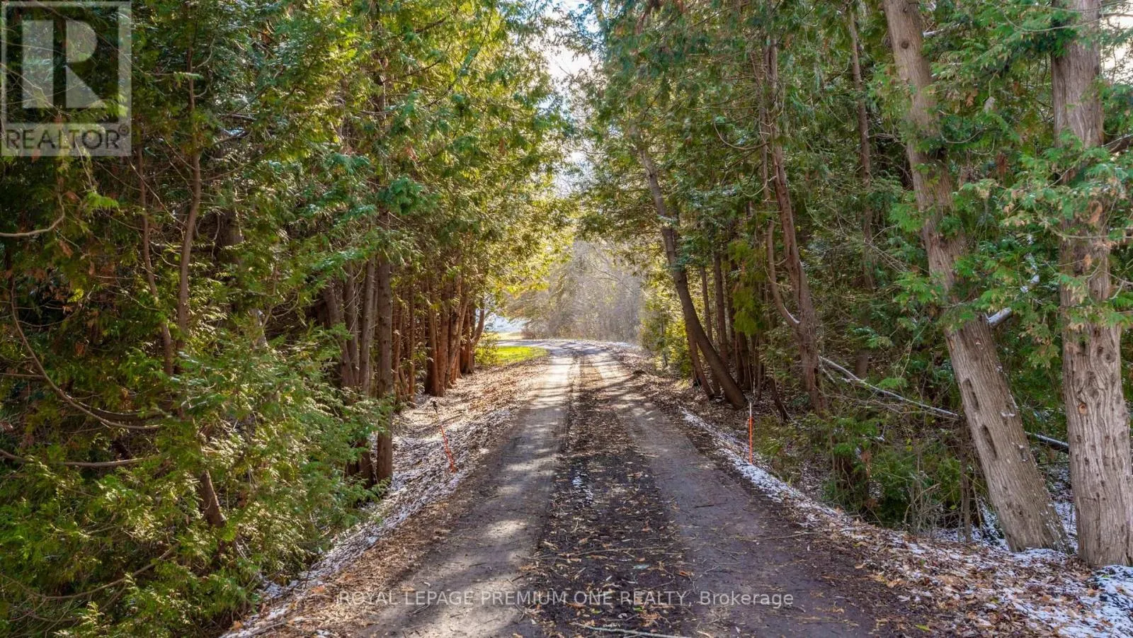 7590 19TH SIDE ROAD