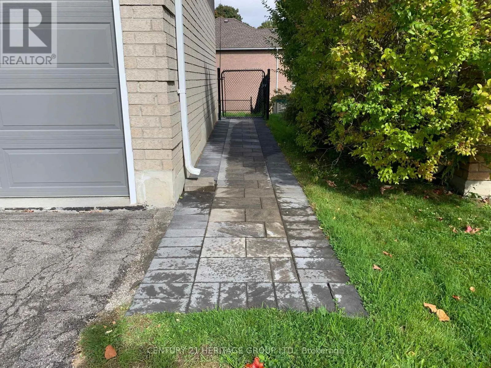 WALK-OUT BASEMENT - 337 CARRUTHERS AVENUE