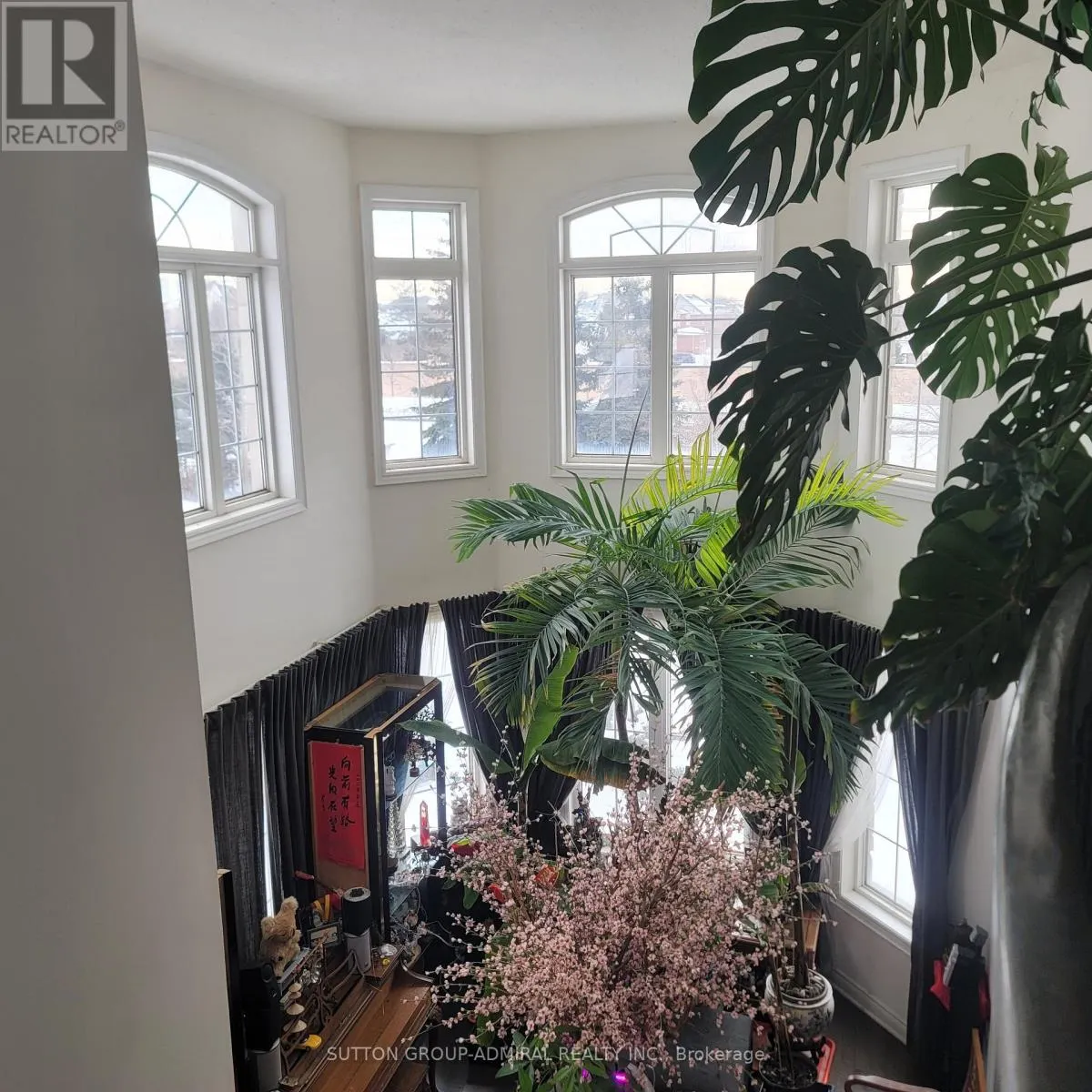78 PIETA PLACE