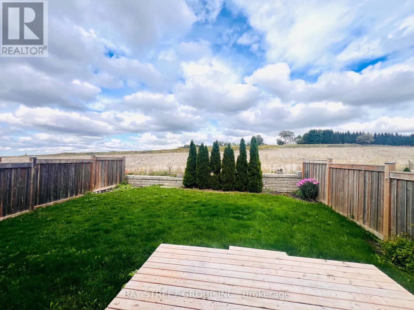 81 SUTCLIFFE WAY