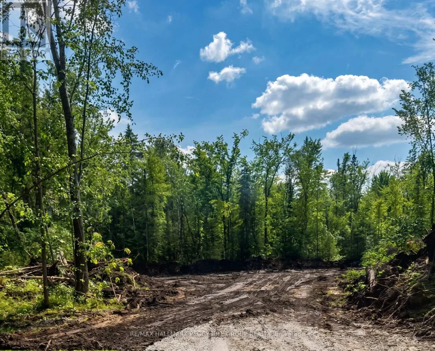 6905 COUNTY ROAD 21