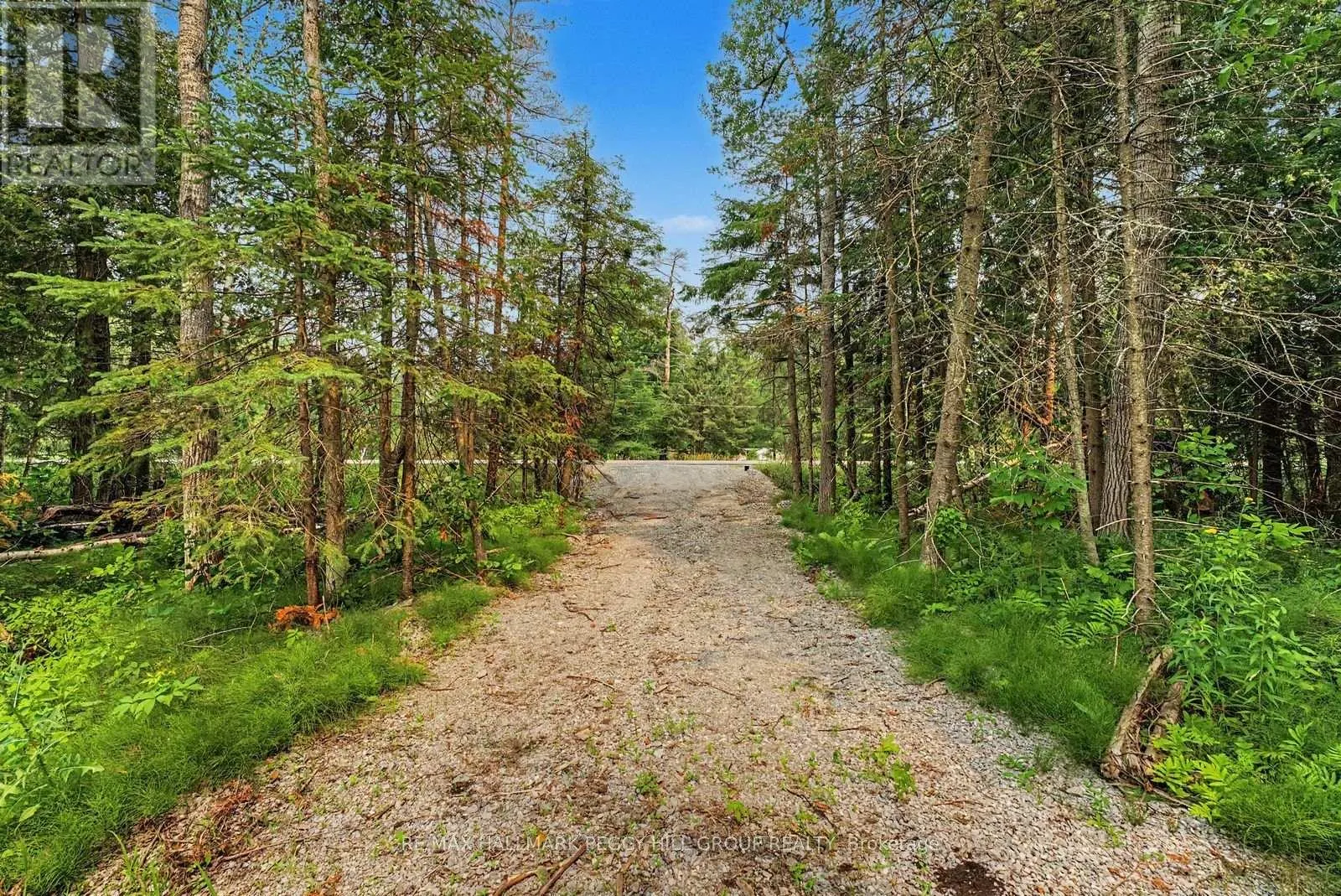 6905 COUNTY ROAD 21