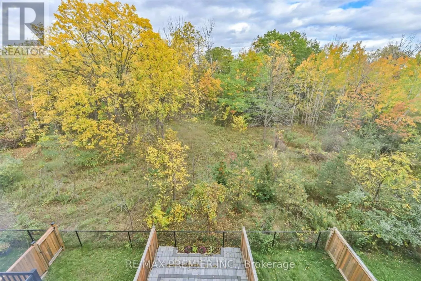 86 GOLDEN TRAIL