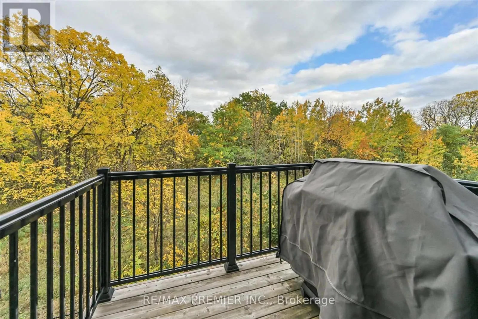 86 GOLDEN TRAIL