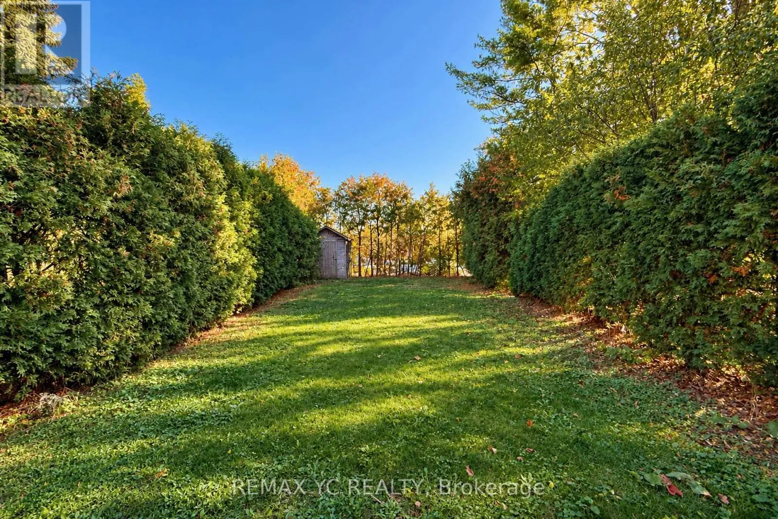 79 TAMARACK DRIVE