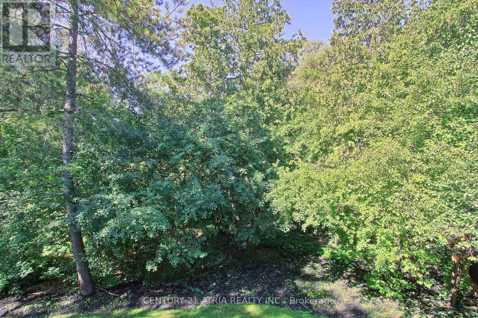27 ANDERSON PLACE