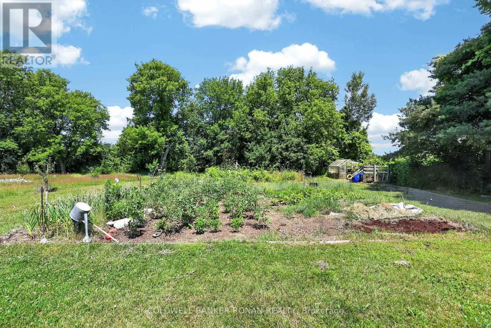 4087 CONCESSION RD 5