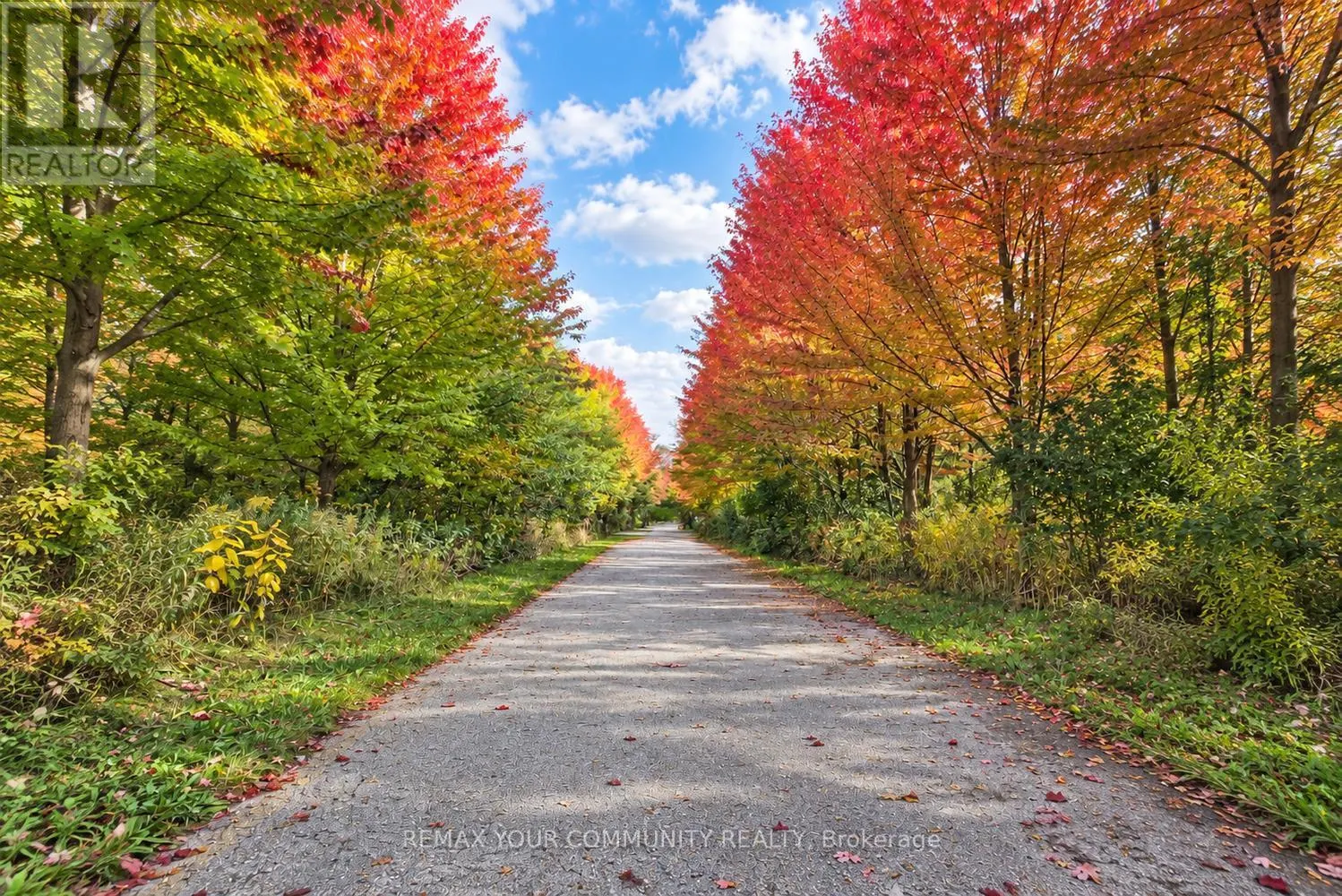 108 GOLDEN FOREST ROAD