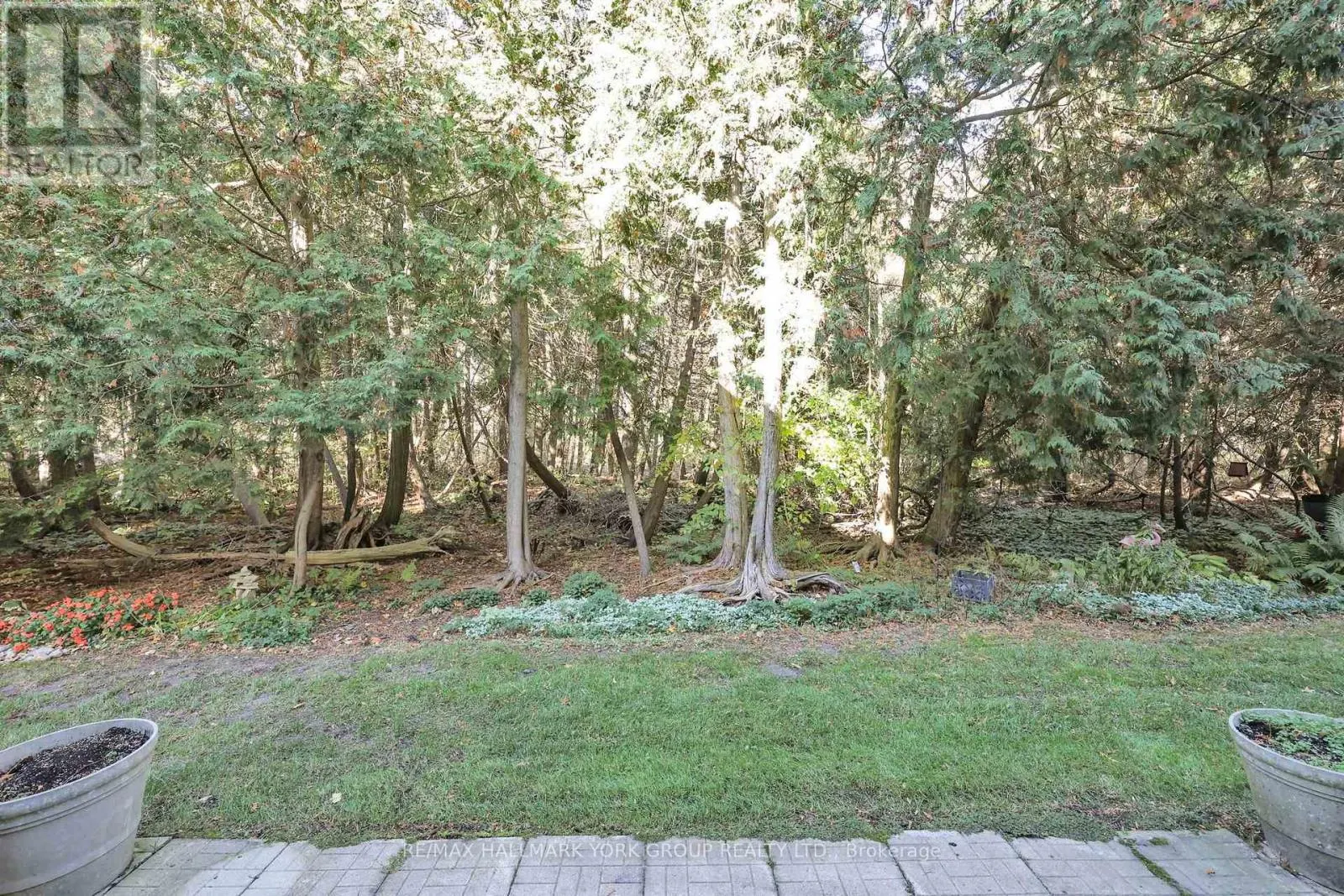 923 CREEKFRONT WAY