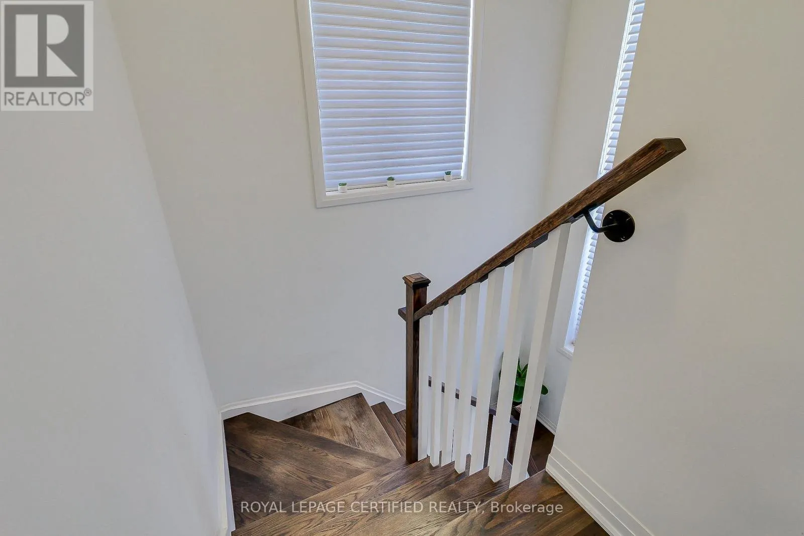 8 MARTIN TRAIL