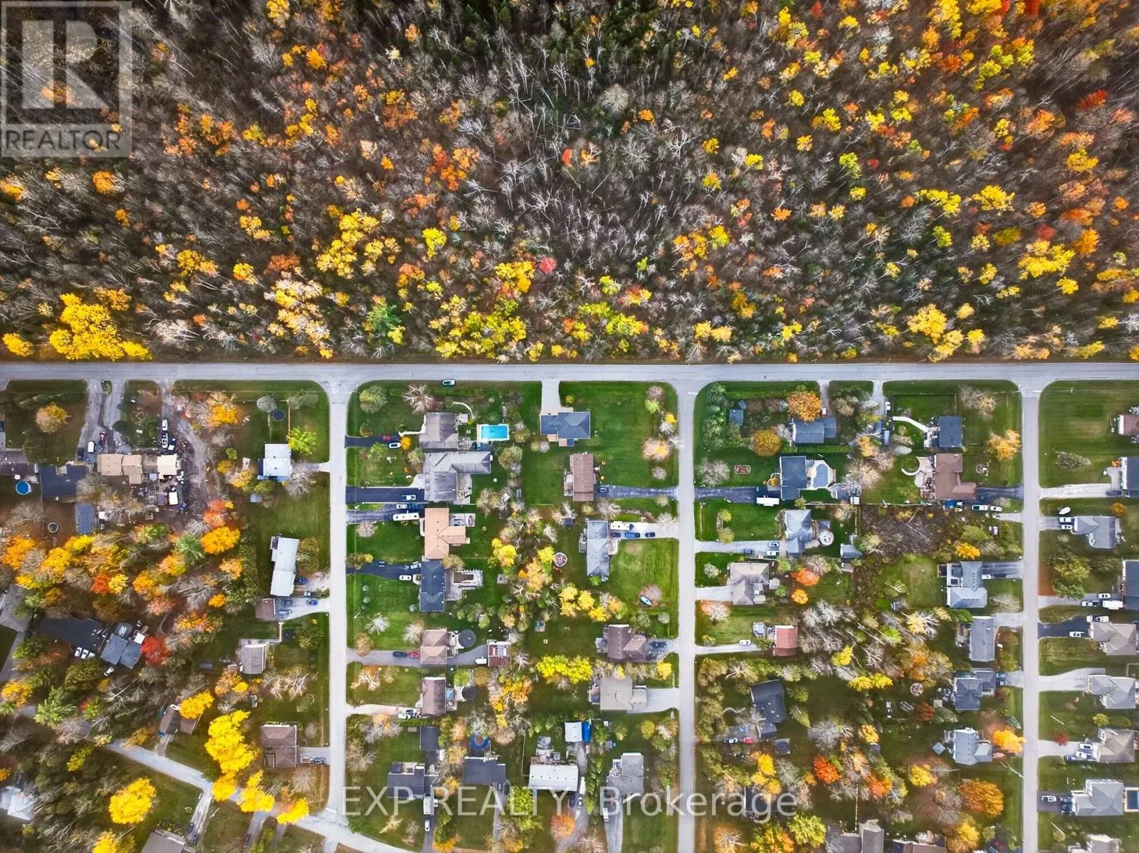 59 FORESTRY DRIVE