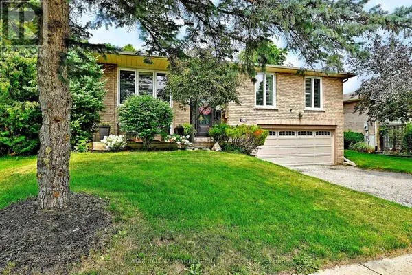 559 HAINES ROAD