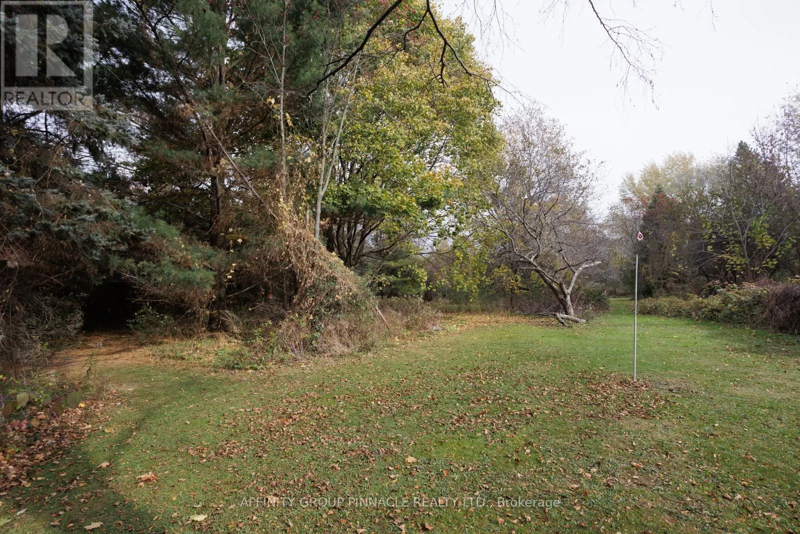 81 CEDAR BEACH ROAD