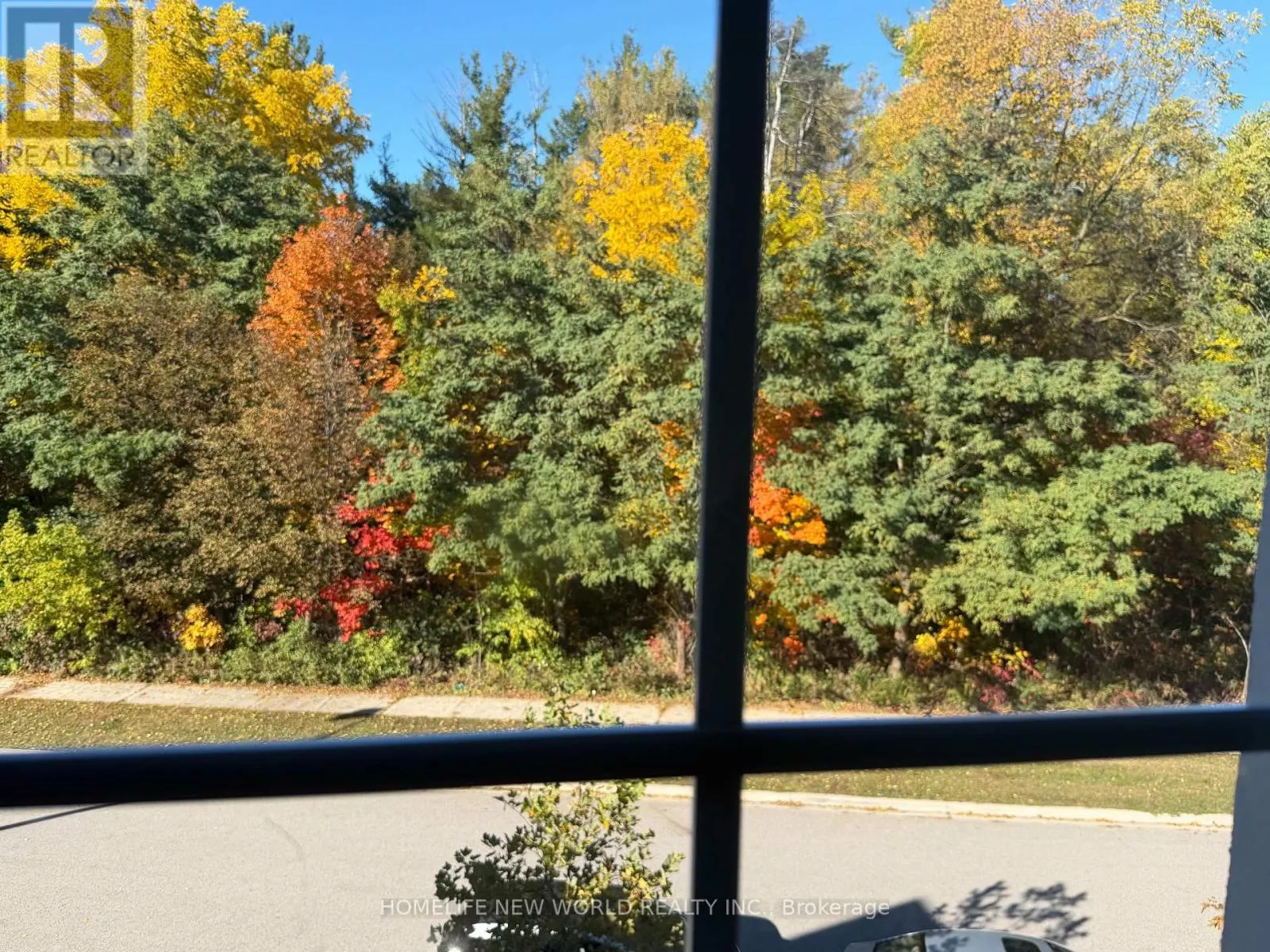 2ND MASTER BEDROOM - 41 PULPWOOD CRESCENT