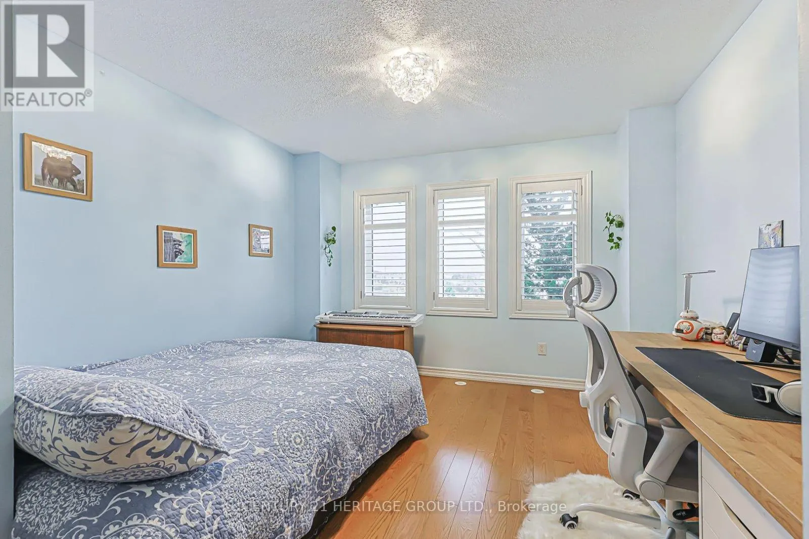 117 ZOKOL DRIVE