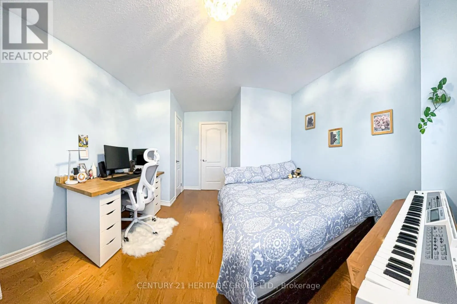 117 ZOKOL DRIVE