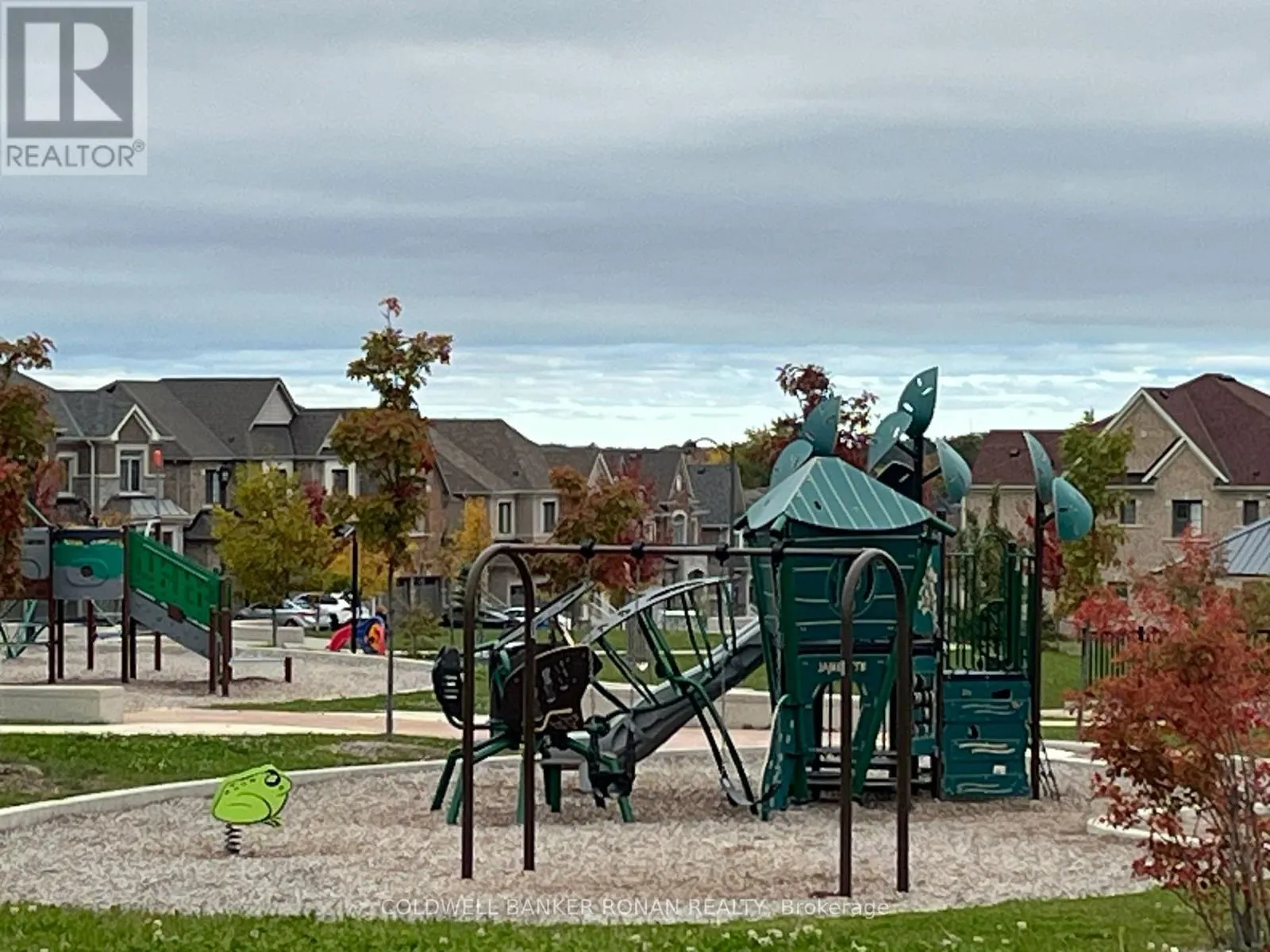 46 TERRAIN COURT