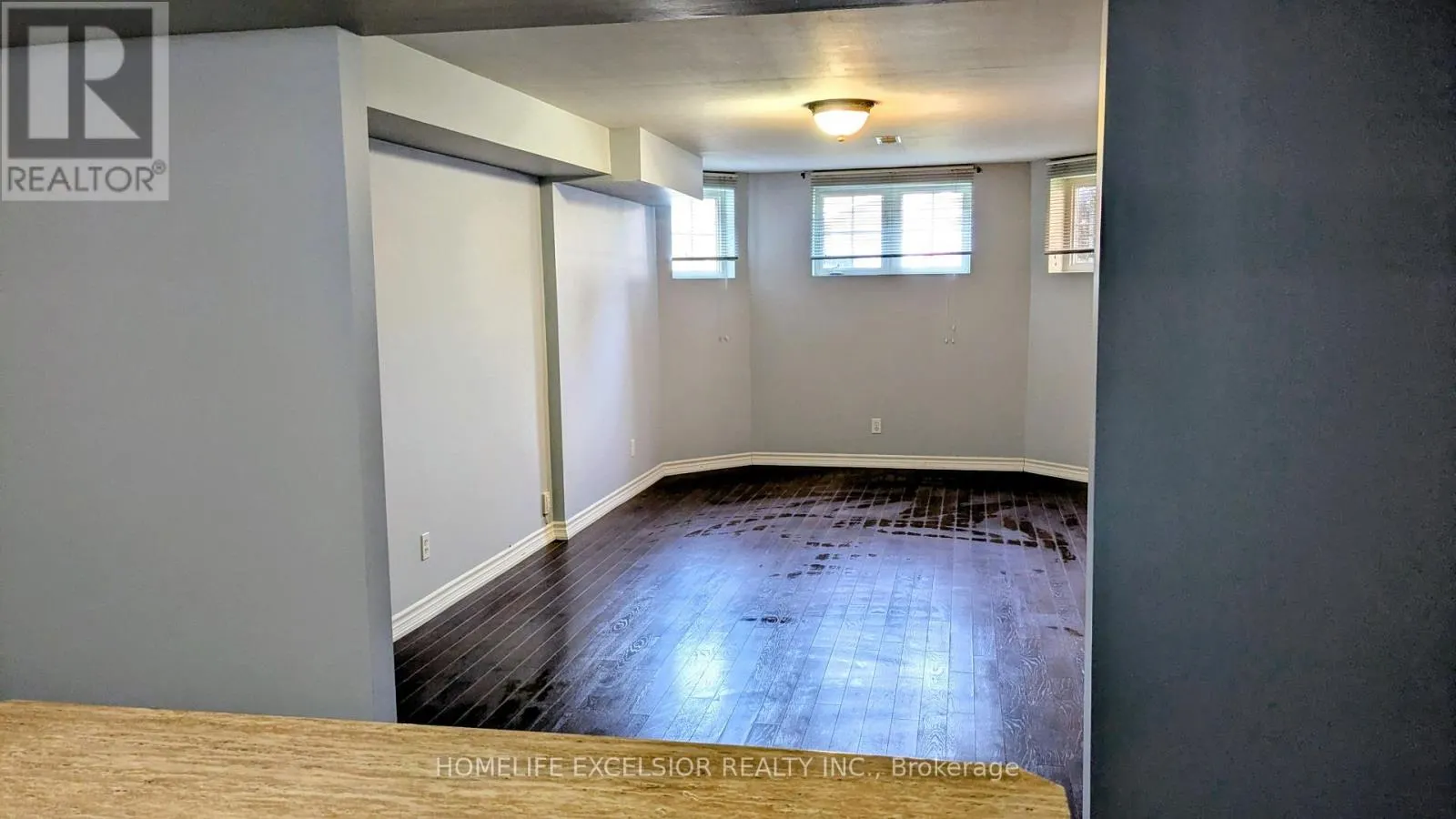 BASEMENT - 25 AMBERVIEW DRIVE