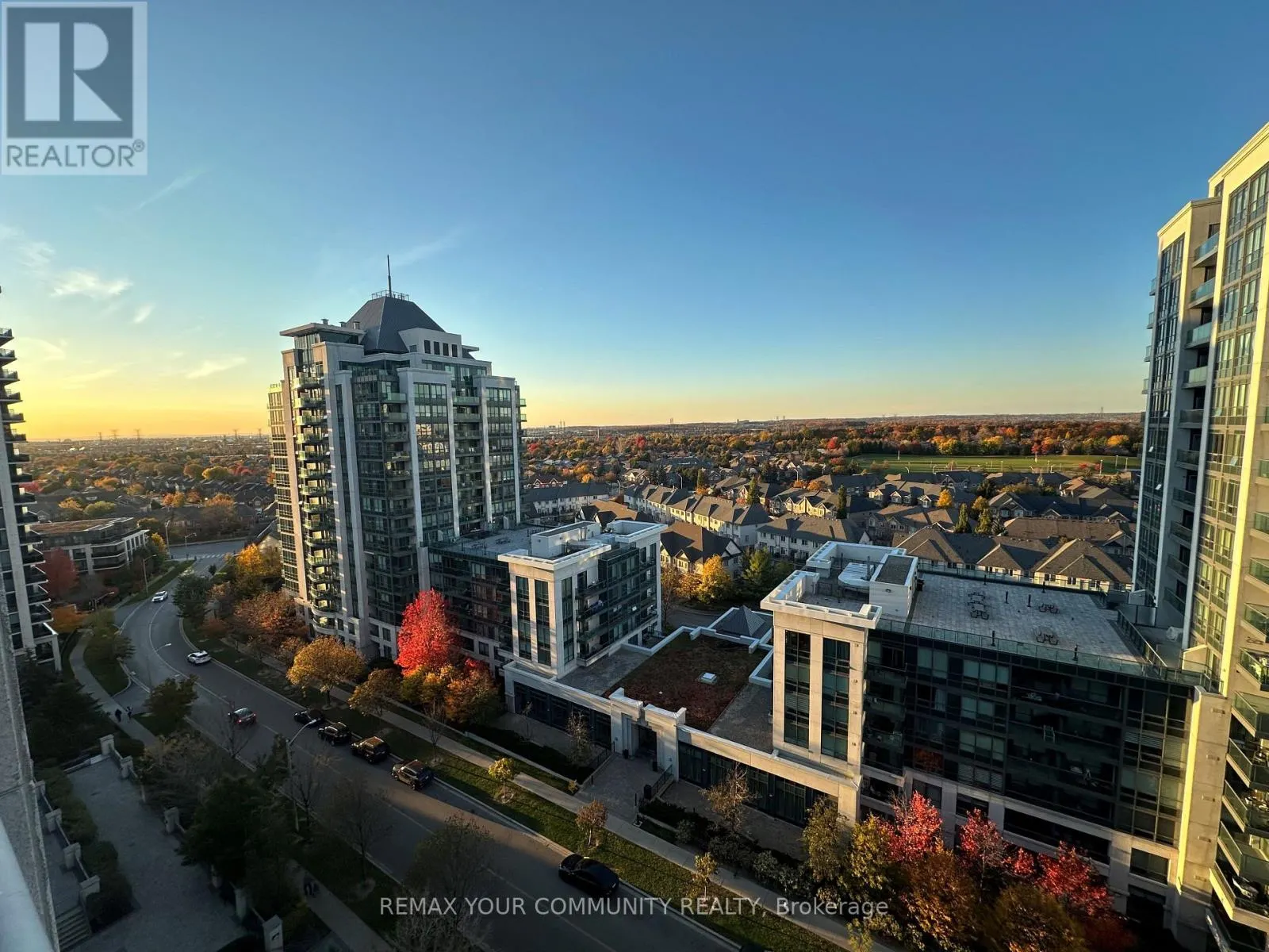 1207 - 50 DISERA DRIVE