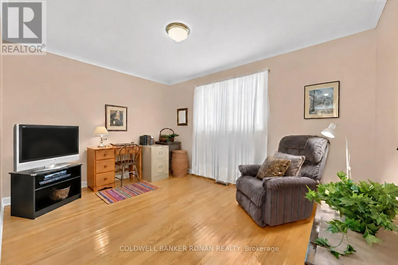 84 COOK DRIVE