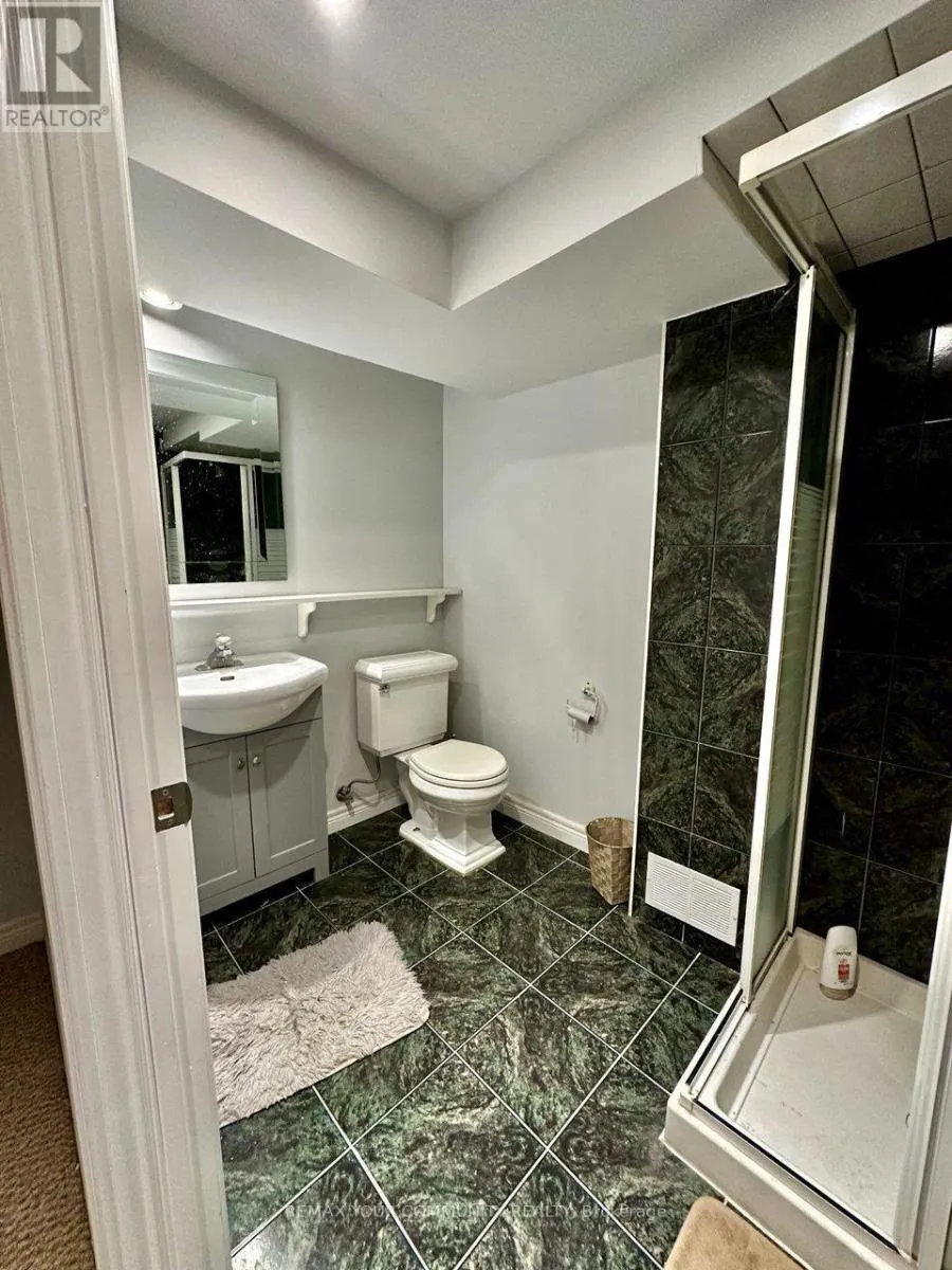 BASEMENT - 71 ROYAL ORCHARD BOULEVARD