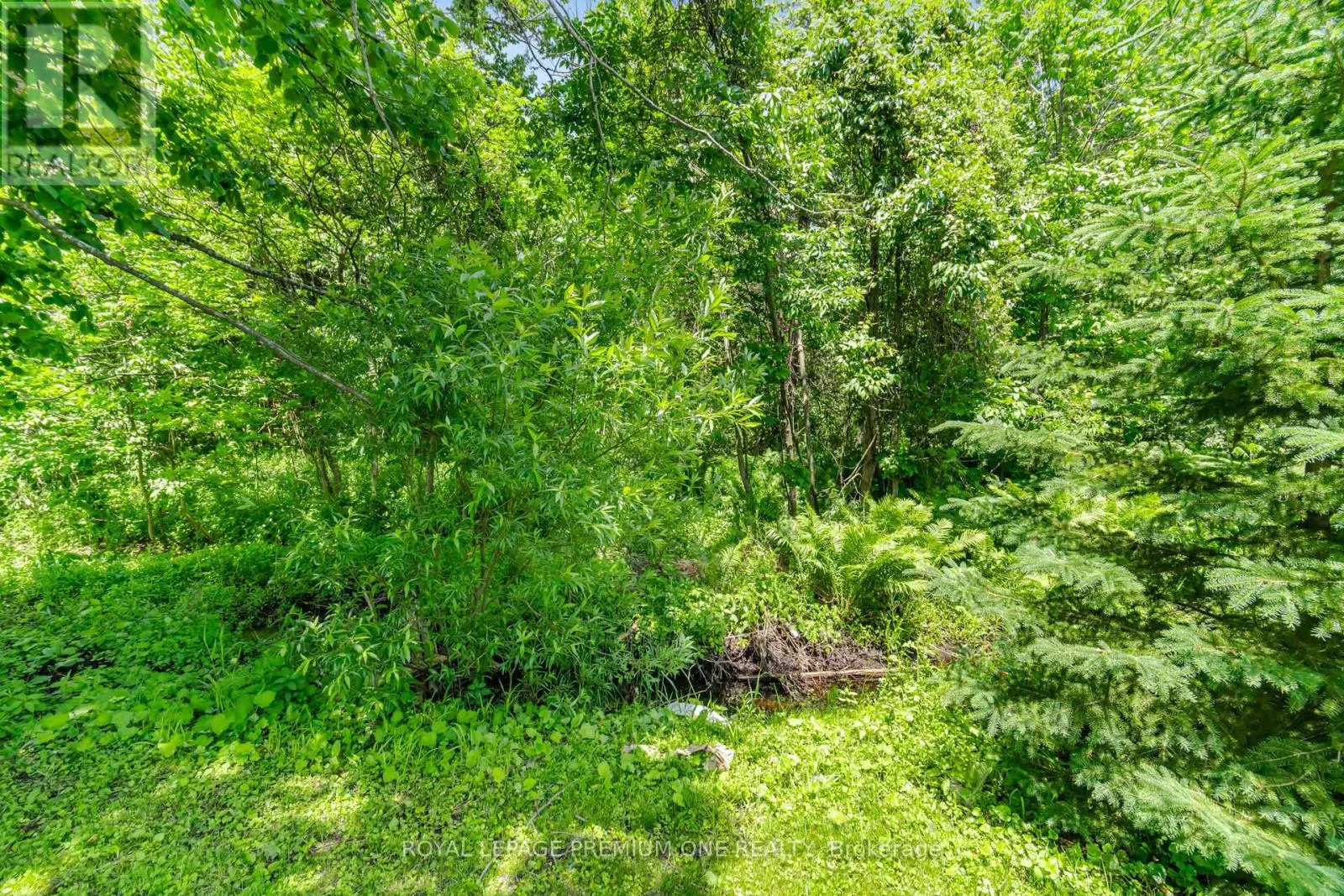 710 ROSE LANE