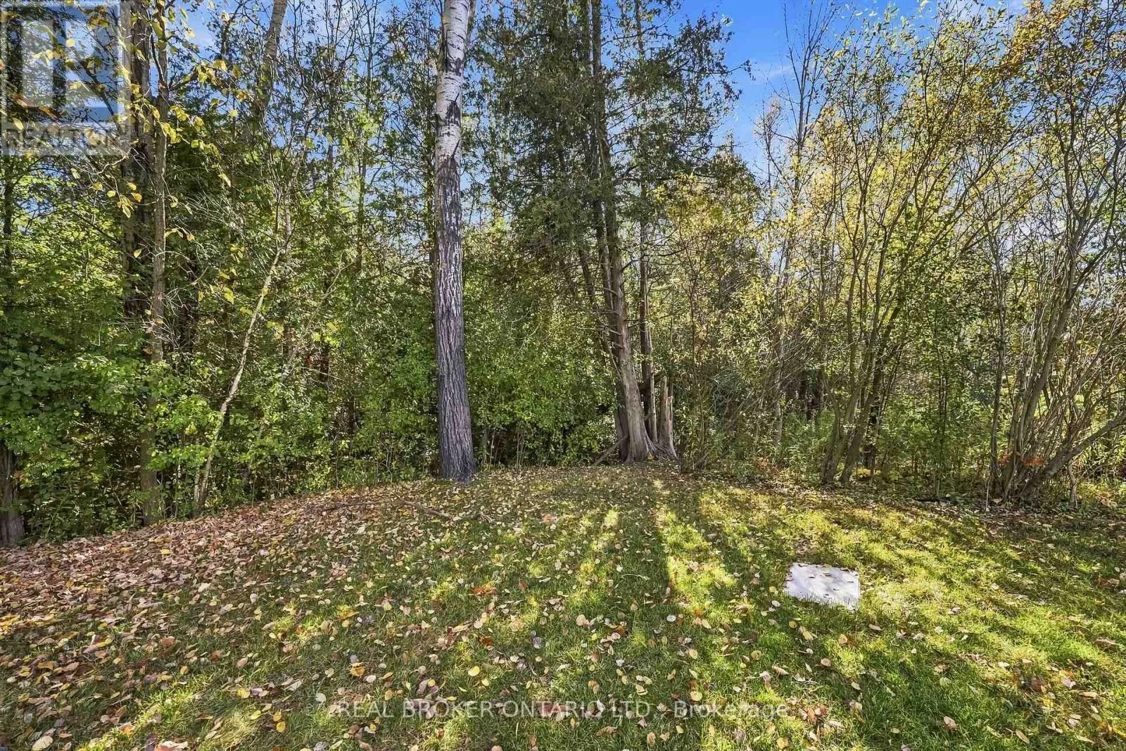 33 FRED BARNARD WAY