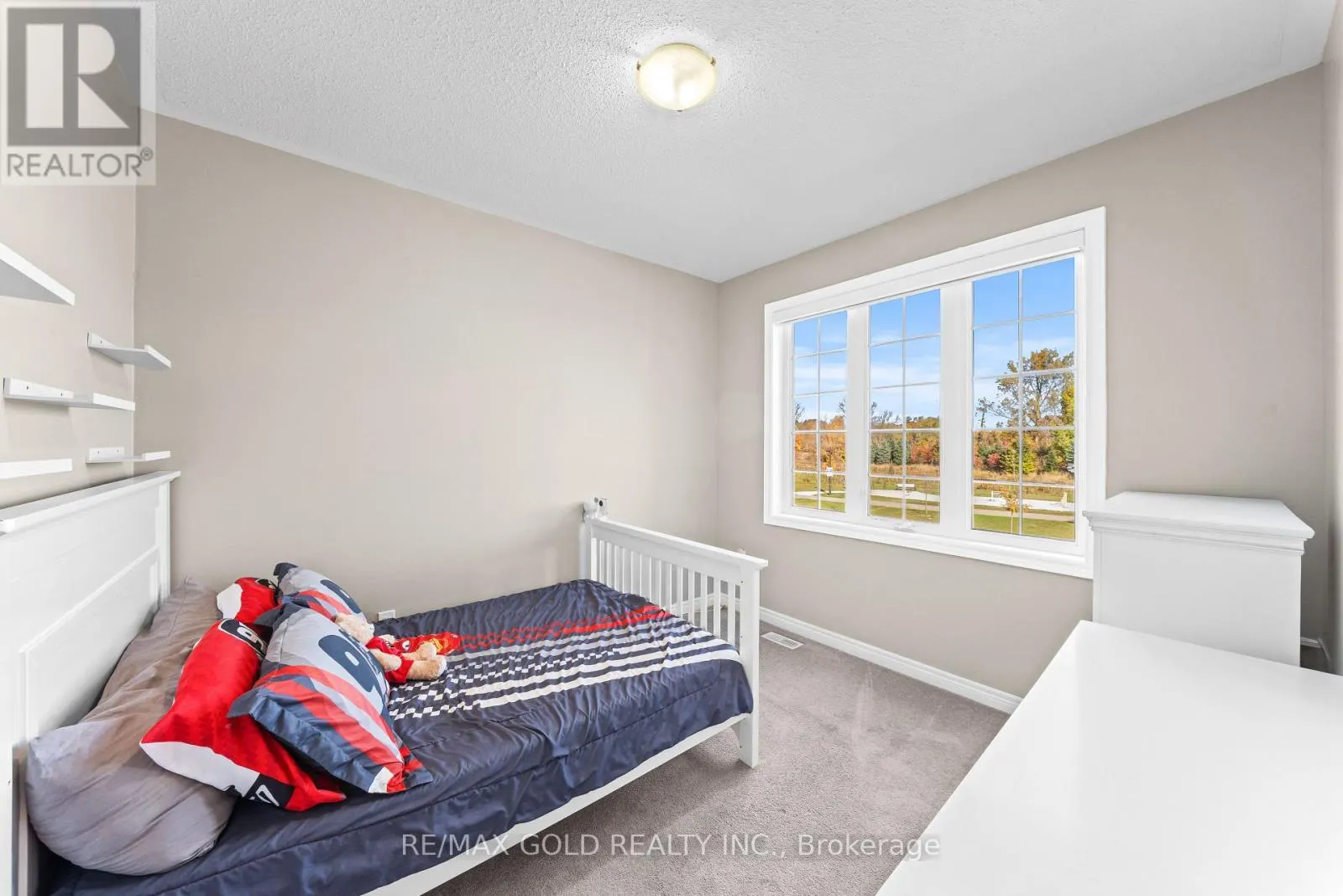 238 MACTIER DRIVE
