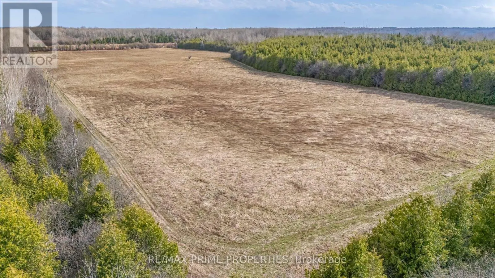 28171 HIGHWAY 48 ACRES